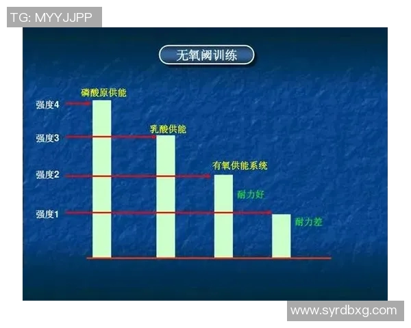 深入分析杭州羽毛球队防反战术的独特魅力与实战应用